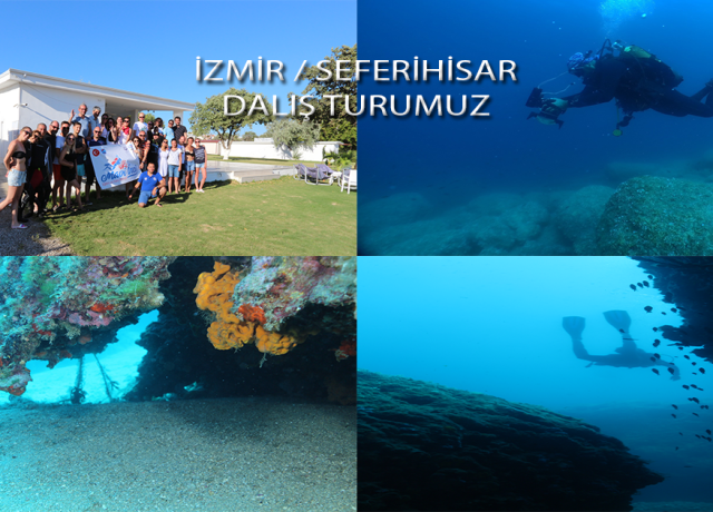 Seferihisar / İzmir Dalış Turu